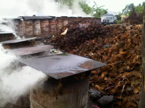 Уголь из скорлупы кокоса
