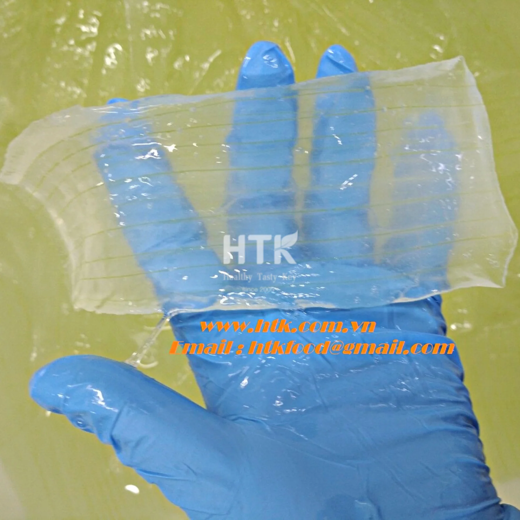 Trending 2023 ALOE VERA Gel Jelly Diced in Water Syrup Packed in Bag Carton from Vietnam for Juice Drink Beverage Bubble Tea