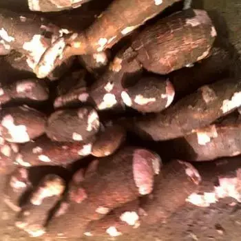 Лучшие сушеные чипсы из