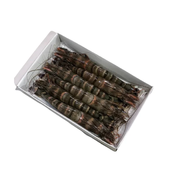 Best Seller Frozen Vietnam Premium Quality Customized Packing In Bulk Raw/Cooked HOSO Black Tiger Shrimp