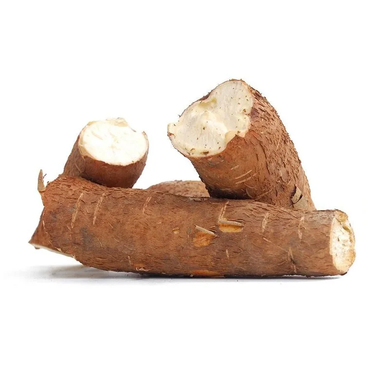 Best Price Bulk Sale Top Quality Fresh Yuca Root (Cassava) / Fresh Vegetables Tapioca Cassava wholesale sale From German