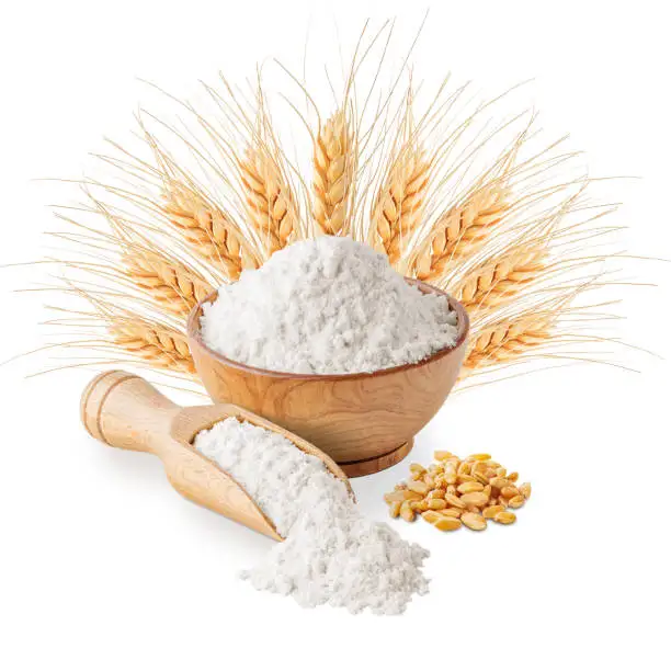 Highest Quality Bulk or Bag Gluten Free Organic Wheat Flour Ready for Export