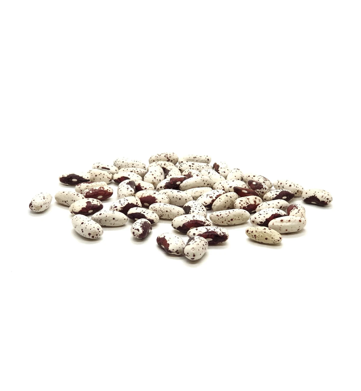 Оптовая продажа, Высококачественная натуральная белая фасоль из Узбекистана без ГМО, зернистая фасоль для еды