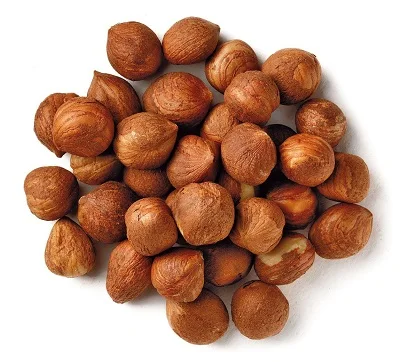 Hot selling Raw Hazelnut / Organic Grade Hazelnut/Hazel Nuts for sale