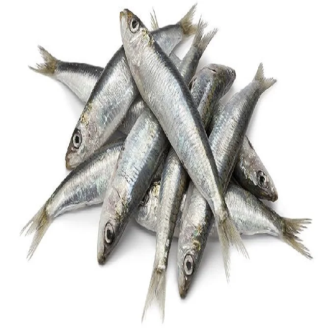 Fresh Herrings Herring In The Local Market Or In The Supermarket For Lovers Of Delicious Seafood