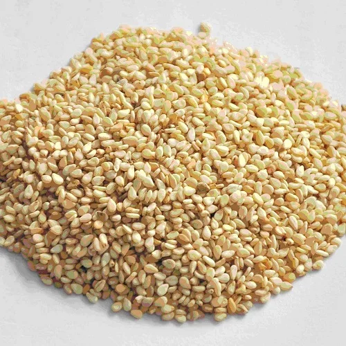 Wholesales White Hulled Sesame seeds white Sesame for sale