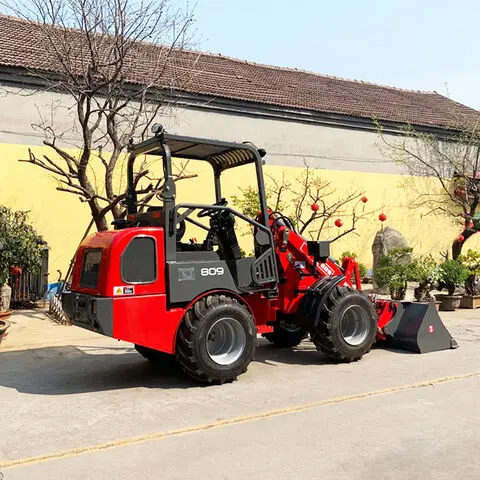 Crawler Mobile Dumper Truck Small Mountain Climbing Transport Dumper for Sale