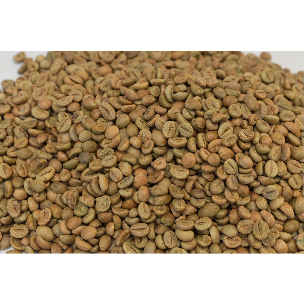 Robusta Honey Green Bean S18 Top Grade Coffee Beans Wholesale High Quality Premium Grade 60 Kg 18 COMMON Cultivation