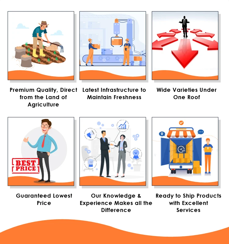 Superior Quality Best Selling Sona Masoori Non-Basmati Rice Medium Grain Raw Rice Buy from Indian Wholesale Supplier