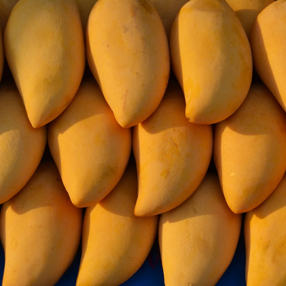 WHOLESALE FROZEN MANGOES IN BULK in ripe yellow color IQF FRUIT