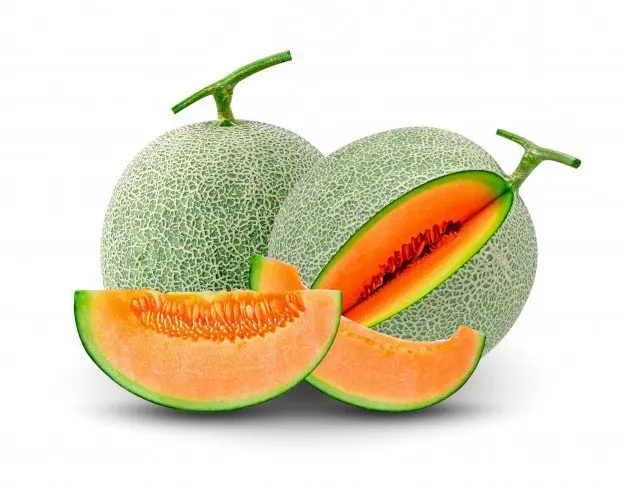 Wholesale Fresh melons -  Cantaloupe  melon seeds  with best quality with LC/TT payment