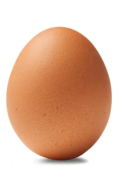 Affordable Fresh Chicken/Table Eggs all sizes available
