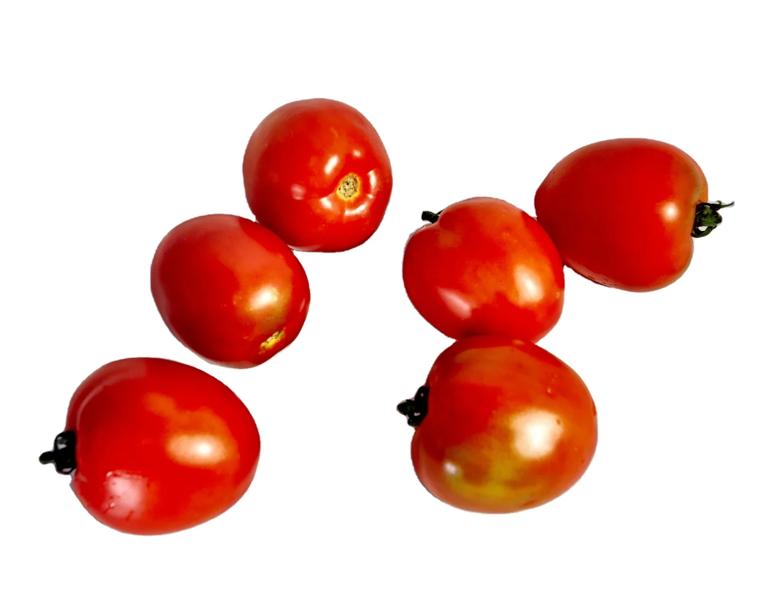 The Best Wholesale Vietnam Supply Fresh Tomatoes High Quality Standard Flavor Sweet Light Sour Shape Globular Packaging OEM