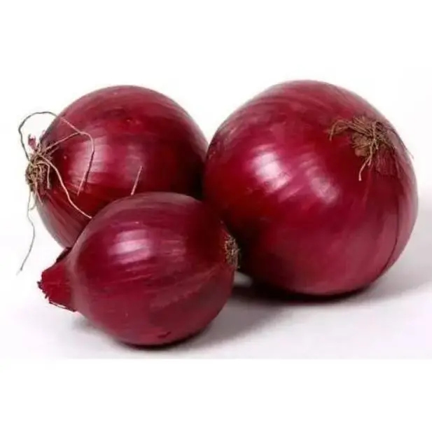 Hot sale Fresh Onions For Sale High Quality