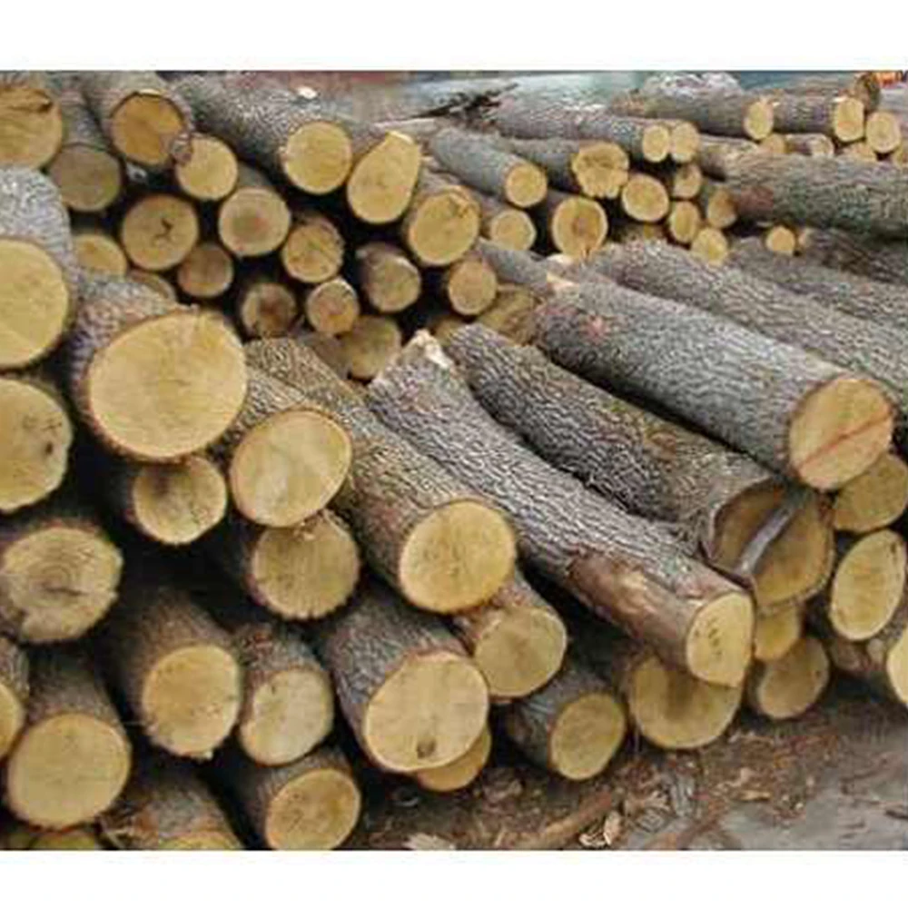 Лидер продаж 100% натуральные необработанные бревна из Древесины Акации Пиломатериалы высокого качества для корейского и японского рынка