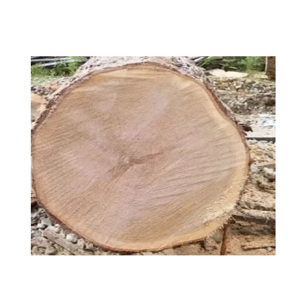 Специальная сделка на бубинга древесные бревна купить оптом и сэкономить большие идеально подходящие для всех ваших требований к деревообработке