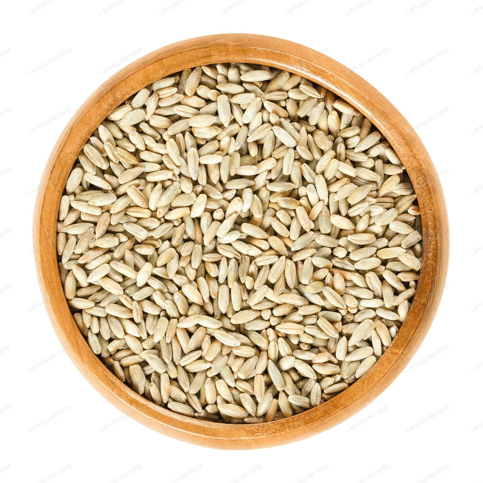 Wheat grain from Russia with export price