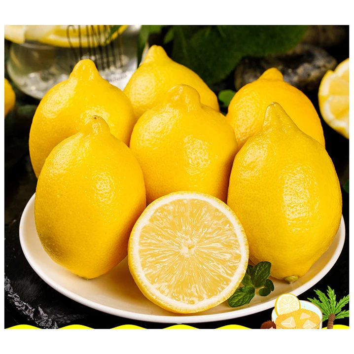Quality Grade Natural 100% Fresh Lemon Hot Selling Green Lemon / Fresh Citrus Fruit Buy Wholesale FRESH LEMON fruits