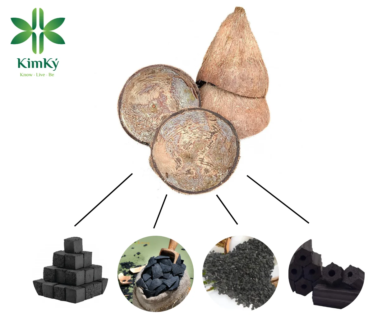 Eco Friendly Material For Making Charcoal Coco Product Coconut Shell Used For Charcoal Growing Plants Decorate In VietNam 2024