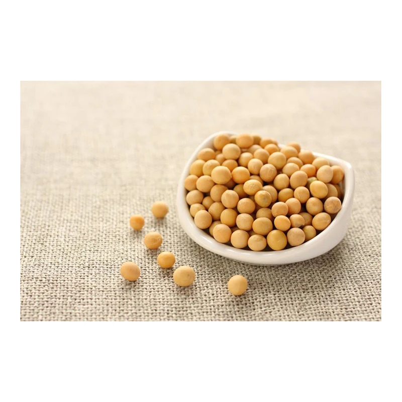 Wholesale Quality High Grade Non Gmo Organic Yellow Soybeans Delicious Soybeans Sale by Bulk Supplier