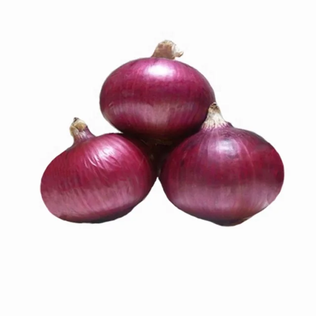 Top quality red onion factory direct supply fresh onion low price export