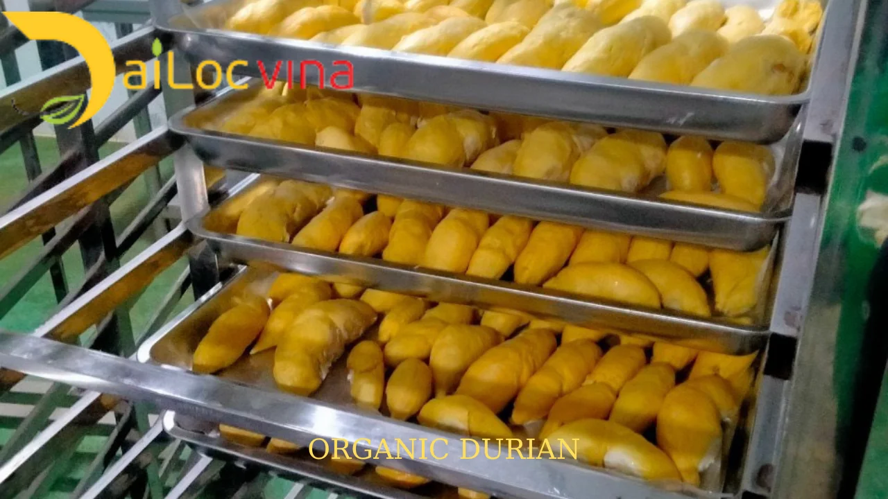 Fresh Monthong durian - frozen durian supplier made in Vietnam