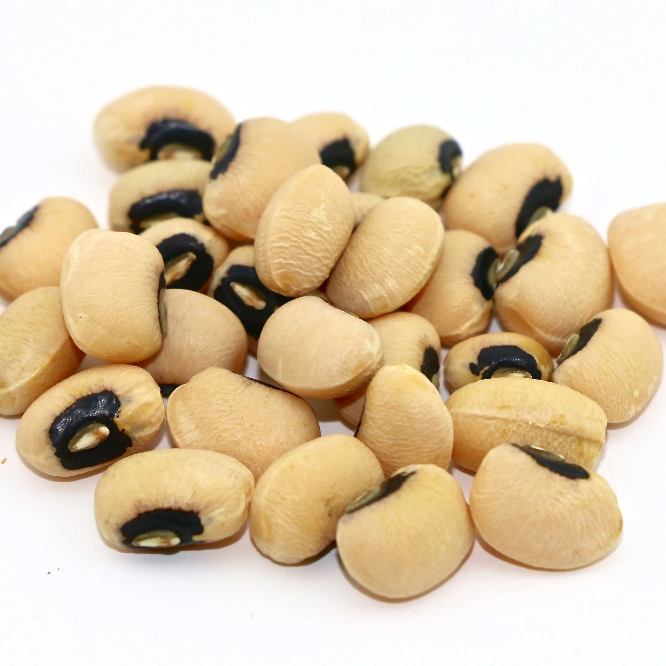 Black white Eye Cowpea Beans wholesale