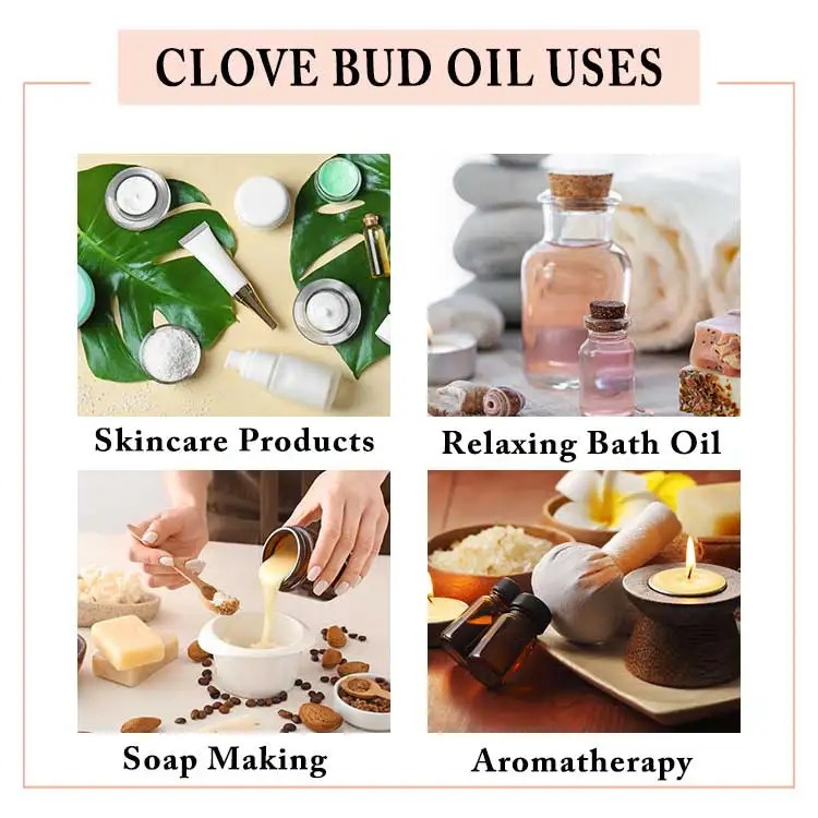 All Natural 100 Pure Cosmetic Grade Clove Leaf Bud Essential Oil In Wholesale At Bulk Prices | Clove Bud Oil For Toothache
