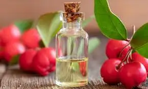 Wholesale High Quality and Reasonable Price Natural Wintergreen Essential Oil