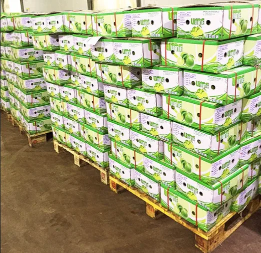 Экспорт зеленых лимонов на рынок ОАЭ, импортер Японии, рынок Кореи