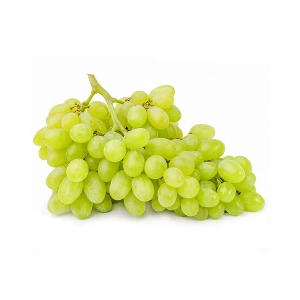 High Grade Fresh Green Grapes From Indian Exporter