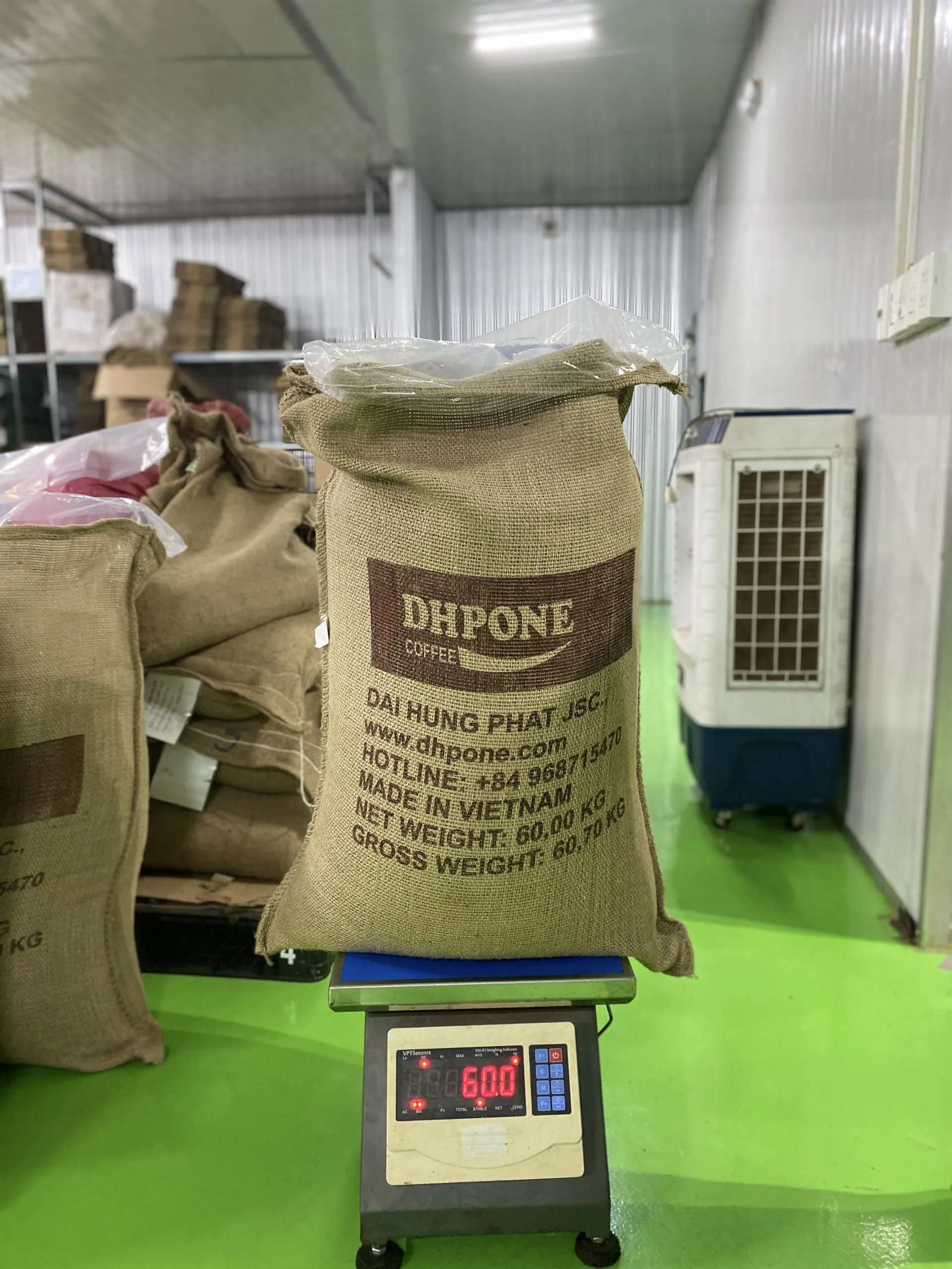 High Quality Green Coffee Beans Robusta / Arabica Clean S16, S18 - AA Green Coffee Beans Export From Vietnam - DHP One