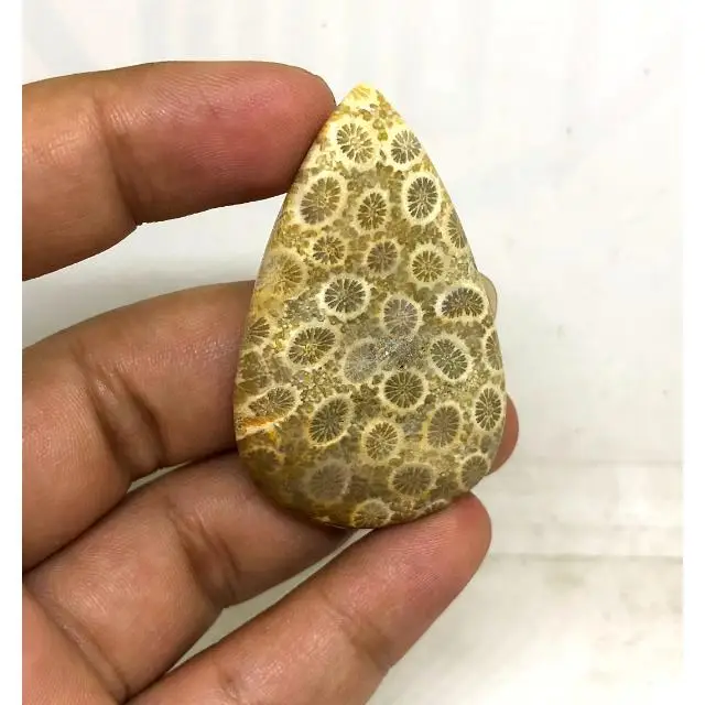 Best Beautiful 100%Natural  Wholesale Cabochon Loose Gemstone Cabochon Fossilized Coral Gemstone for Jewelry Making luxury stone