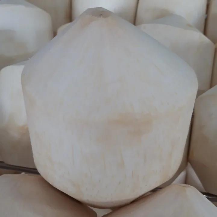 Свежий кокос-Лучшая цена на экспорт из