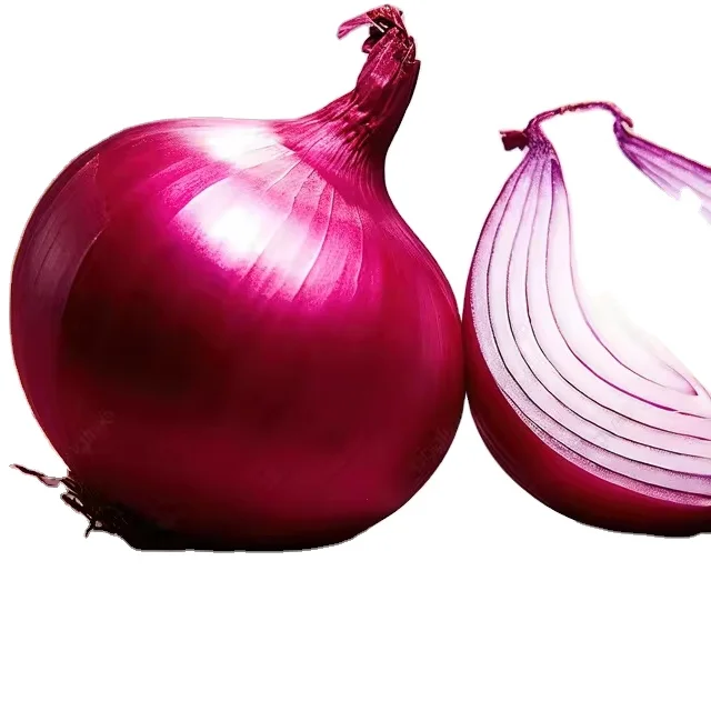 Premium Quality Onion 100% Pure and Natural Onion  Natural Red Onion Market