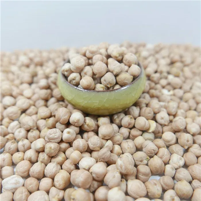 India Wholesale High Quality Chickpeas/ Best KabuliI Chick Peas 11 mm