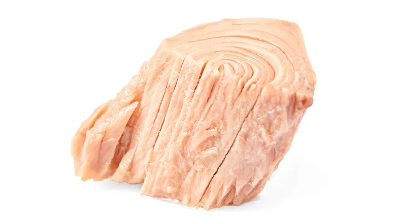 Canned Sardine and Mackerel and Tuna Manufacturers /Buy Canned Sardine In Vegetable Oil  Wholesale