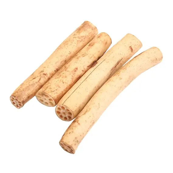 High Quality New crop of Chinese fresh burdock root wholesale price vacuum pack.