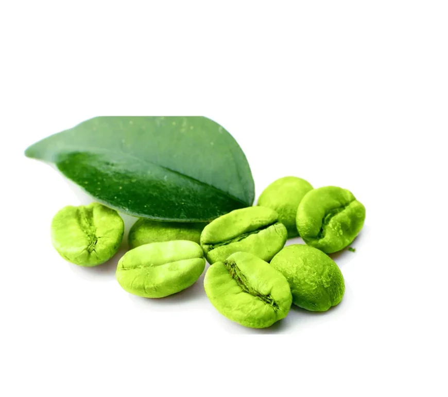 Coffee planting base supply OEM green coffee beans arabica / robusta beans arabica Washed coffee beans