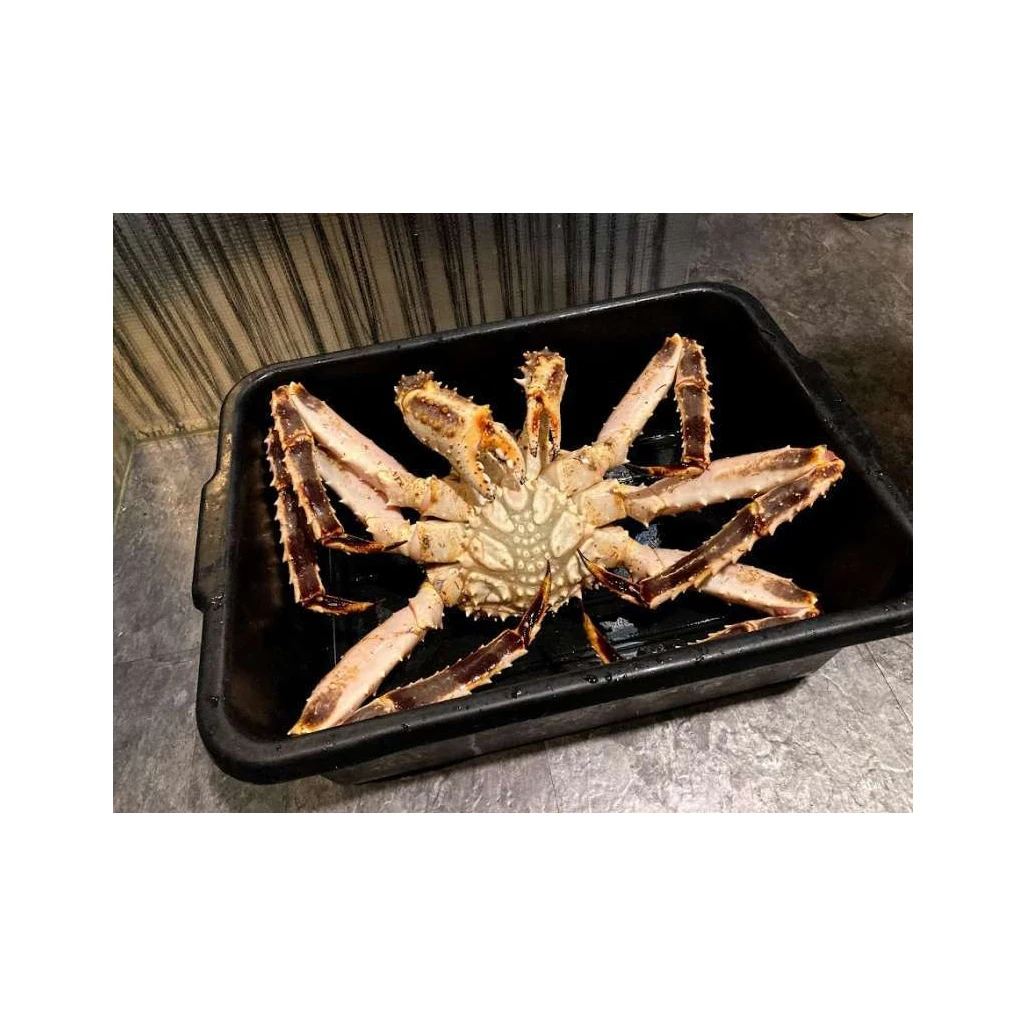 Quality Fresh Live Red King Crab Norwegian King Crab Alaskan King Crab/Buy  King Crab/Hot sales King Crab Legs