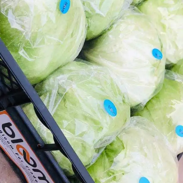iceberg very fresh