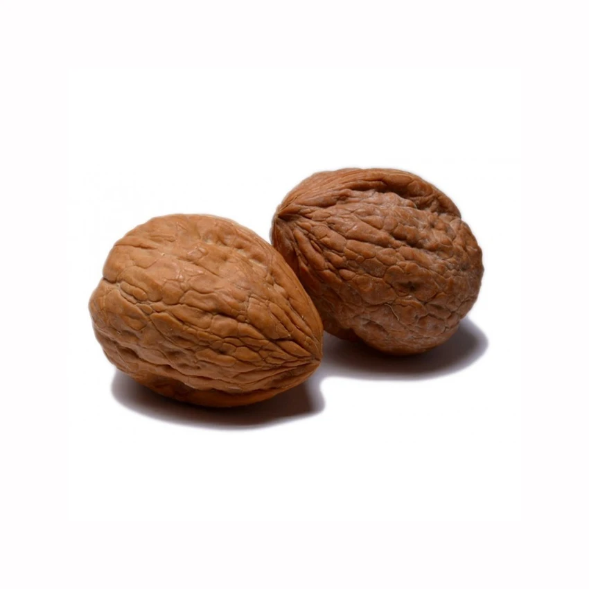 Walnuts Best Seller Manufacturer Wholesale Premium Organic Walnuts in shell Turkey walnut kernel for sale