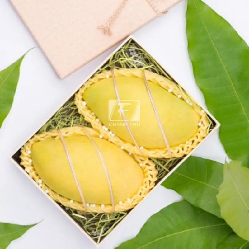 Mango Export Cat Chu  Packing High Quality Carton Type Sweet Taste Mango Export From Vietnam