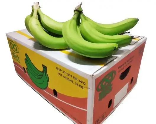 Wholesale Good Quality Competitive Price Delicious Flavour Fresh Banana From Viet Nam Export