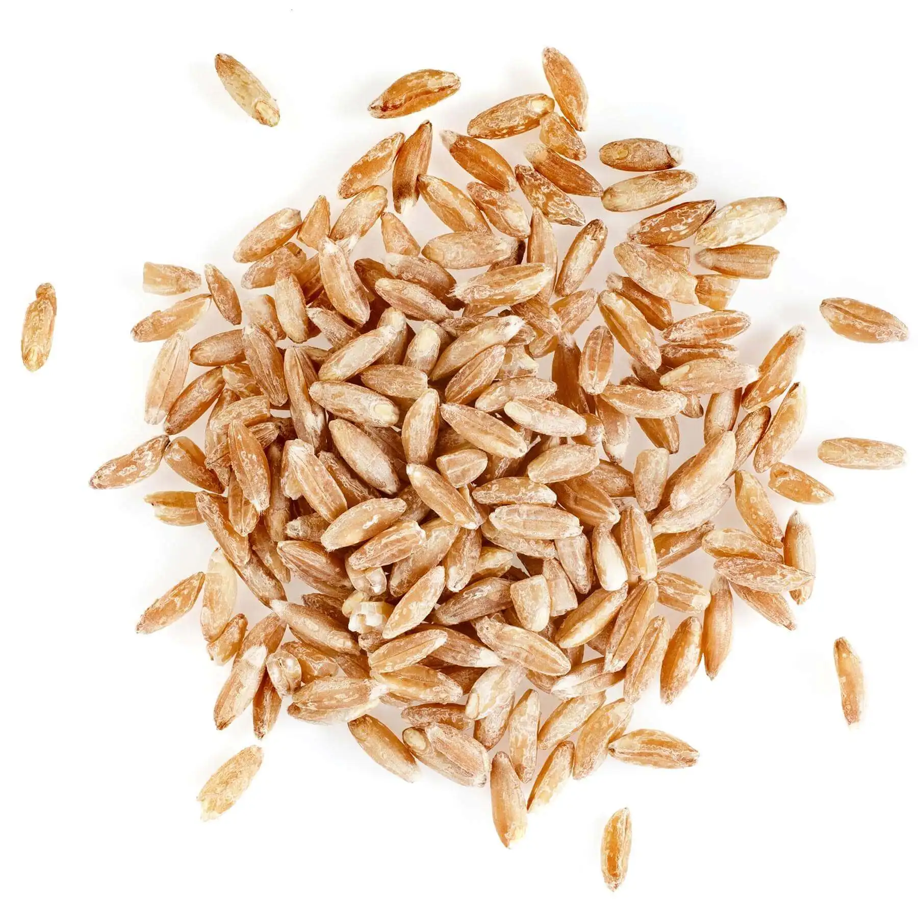 Wheat grains of soft varieties relatively little protein and less gluten wholesale wheat grain