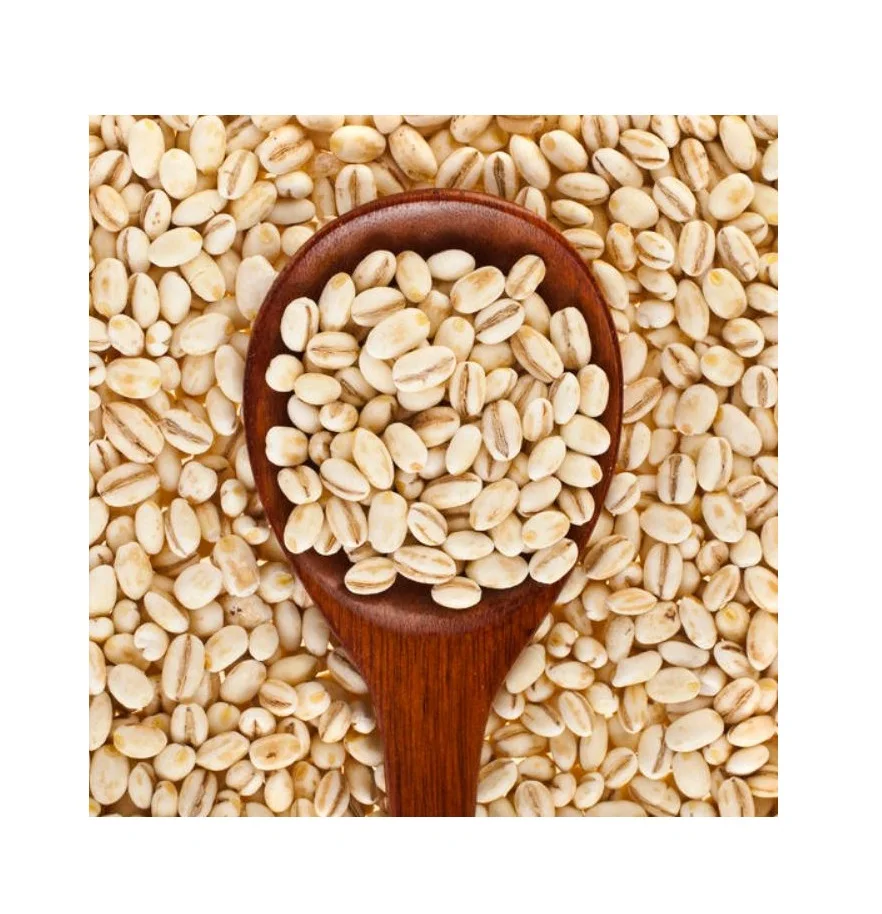 100% Barley Seeds/Animal feed barley/bulk barley grains at affordable price