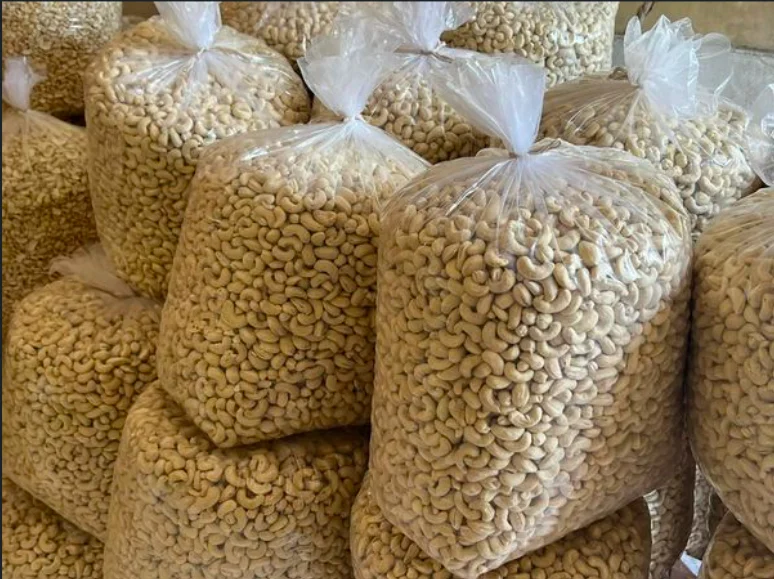 CASHEW NUT WW180, 210, 240 320, 450 / Premium Cashew From Vietnam manfaat jambu mete
