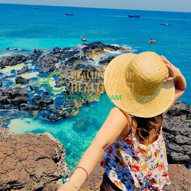 Sale 2024!!! High Quality And Good Price School Straw Hat Custom Straw Hat Beach In Vietnam