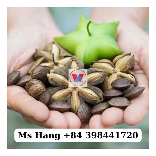 GOOD PRICE | Sacha Inchi Nuts/ Inca Peanut/ Plukenetia Volubilis From Factory In Vietnam