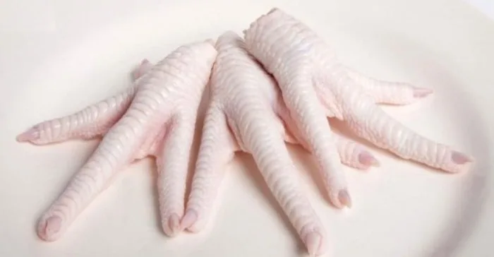 Brazil Chicken Paw Manufacturers, Suppliers and Exporters